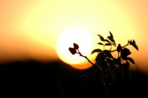 Vivre de la tendresse du Ressuscité