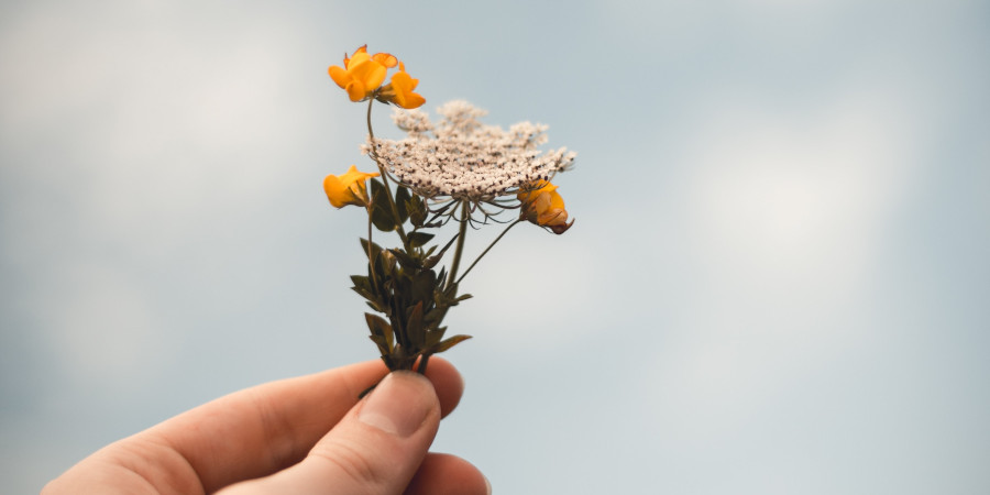 Une main avec des fleurs des champs