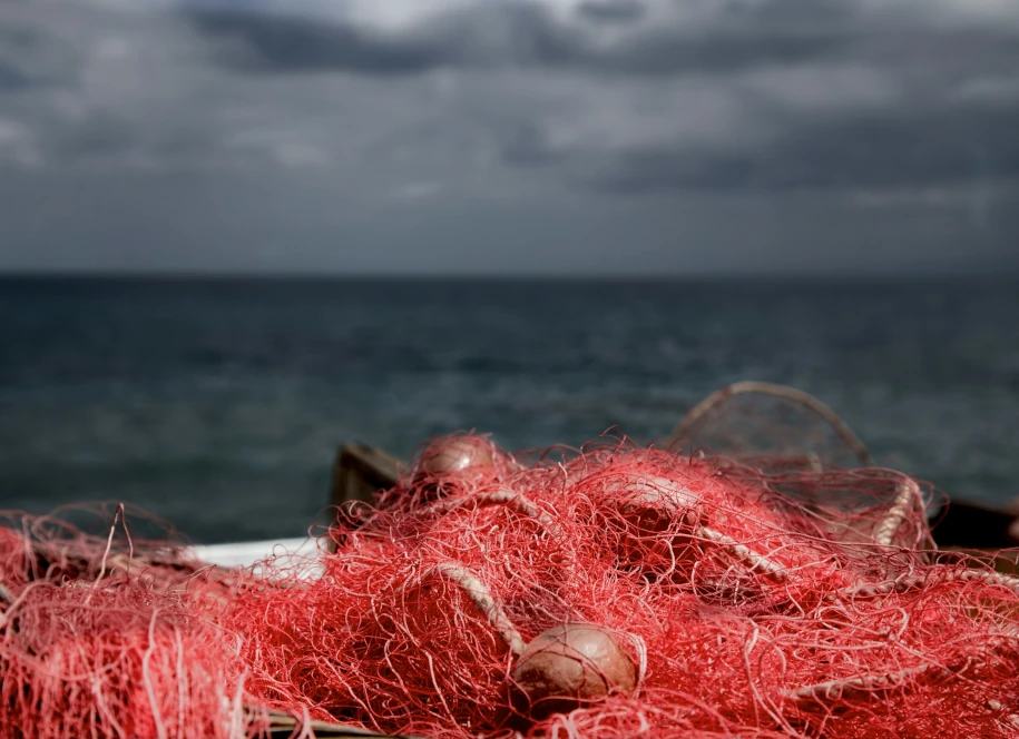 Des filets au bord de la mer