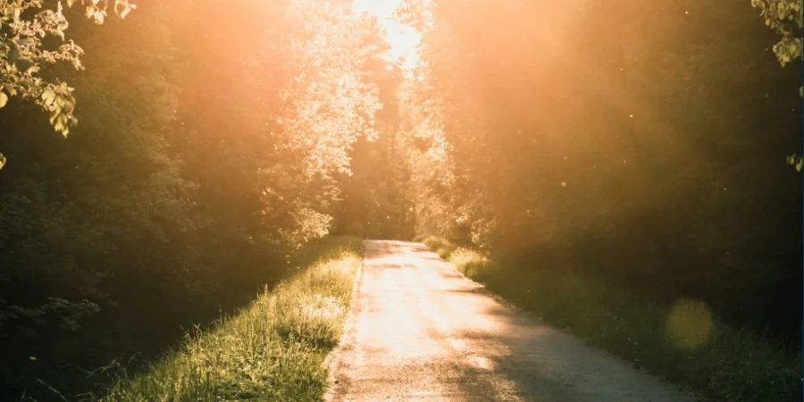 Un chemin ensoleilé qui symbolise le chemin de justice et de fidélité sur lequel Dieu nous conduit
