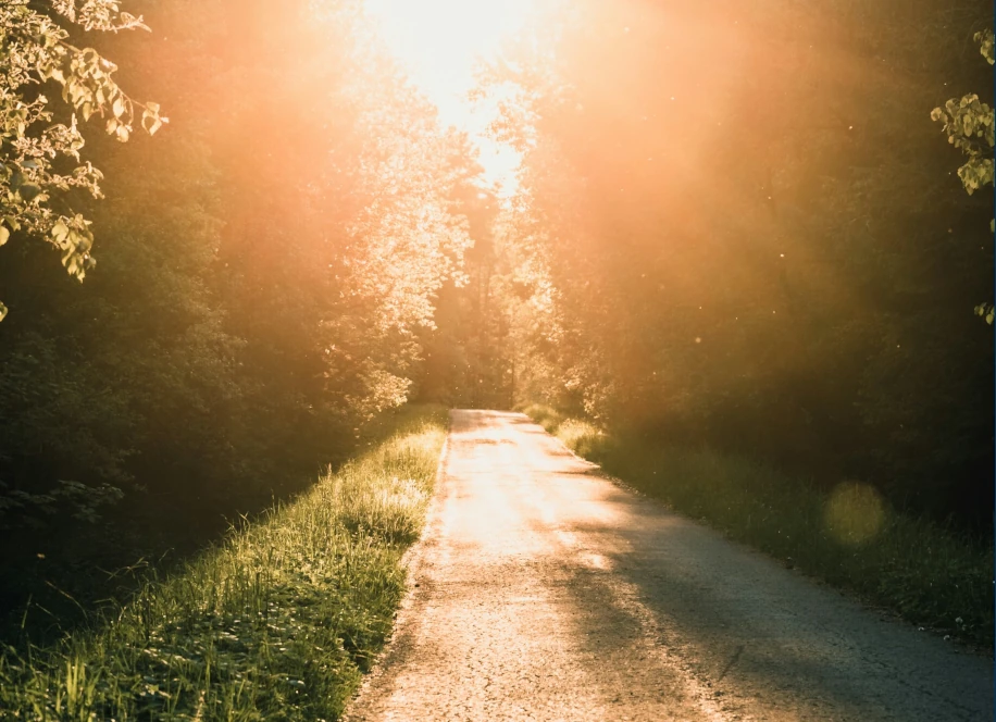 Un chemin ensoleilé qui symbolise le chemin de justice et de fidélité sur lequel Dieu nous conduit
