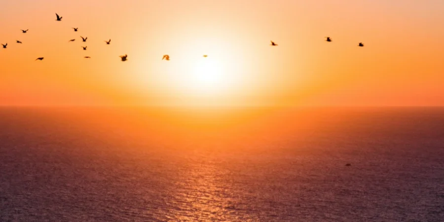 Lever de soleil qui symbolise l'amour de Dieu