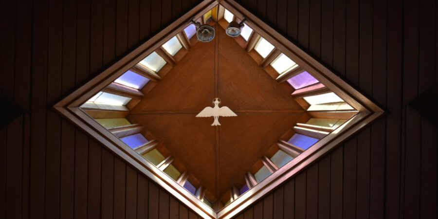 Une colombe dans un losange de lumière de vitraux