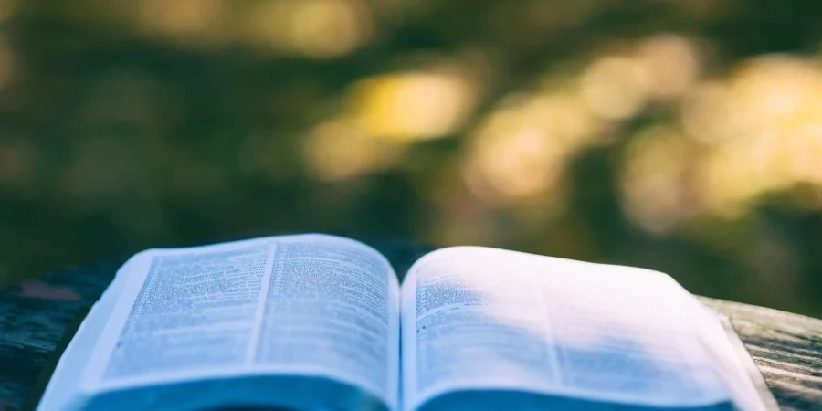 Le livre de la Parole de Dieu ouvert sans la nature